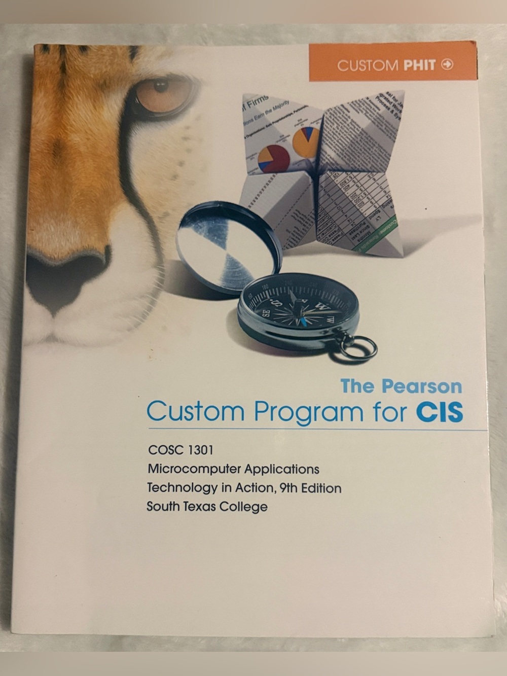 The Pearson Custom Program for CIS